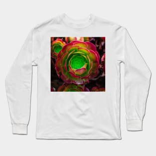 Succulent in square Long Sleeve T-Shirt